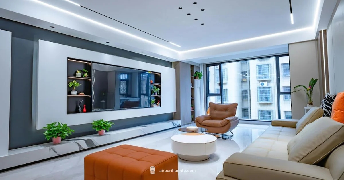 Purifier vs Humidifier - Air Purifier Info