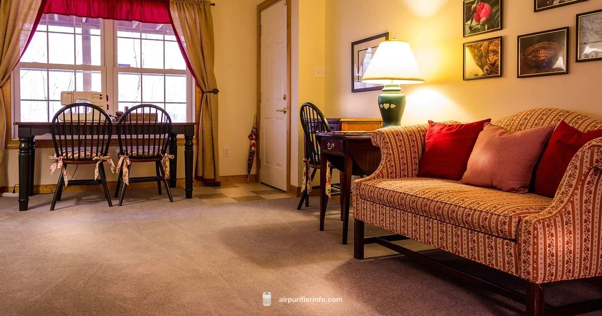 Top Air Purifiers - Air Purifier Info