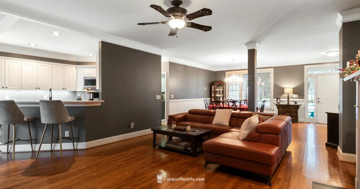 Dyson Tower Fans Guide - Air Purifier Info