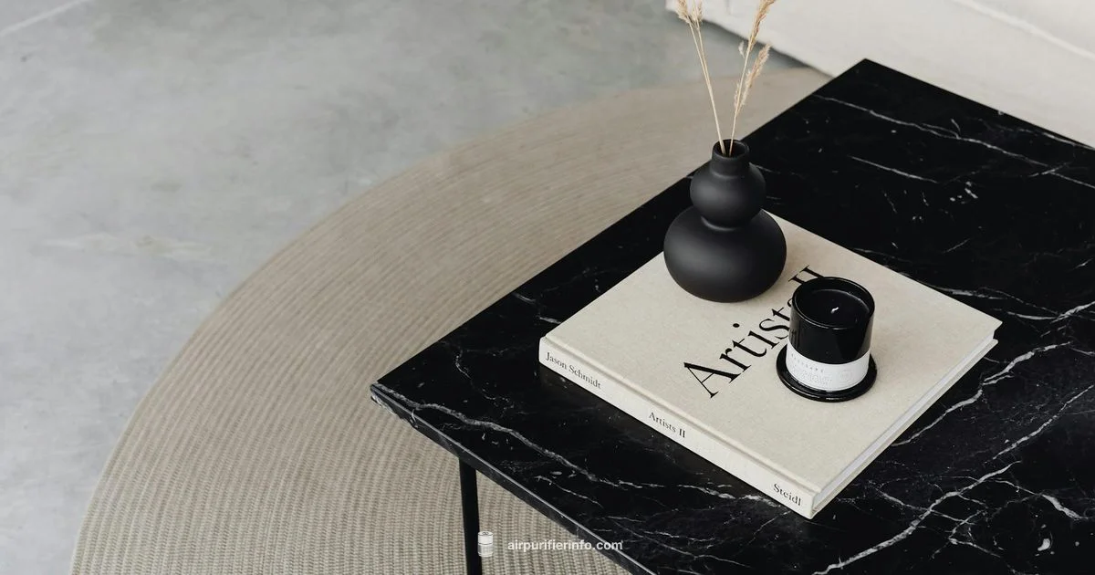 Xiaomi vs Dyson - Air Purifier Info