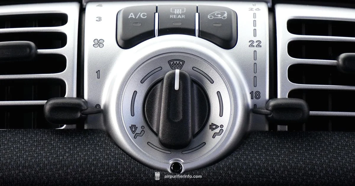 Clean Cabin Air - Air Purifier Info