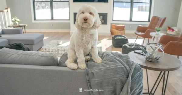 Pet Odor Purifier - Air Purifier Info