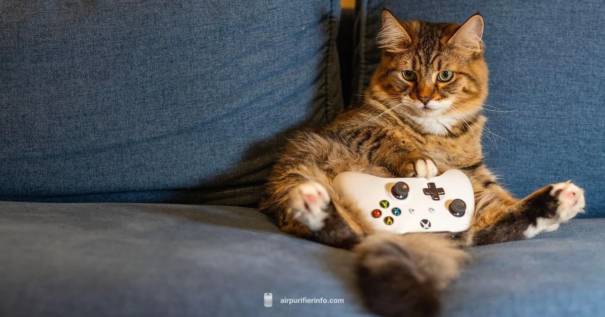 Pet-Safe Air Purifier - Air Purifier Info