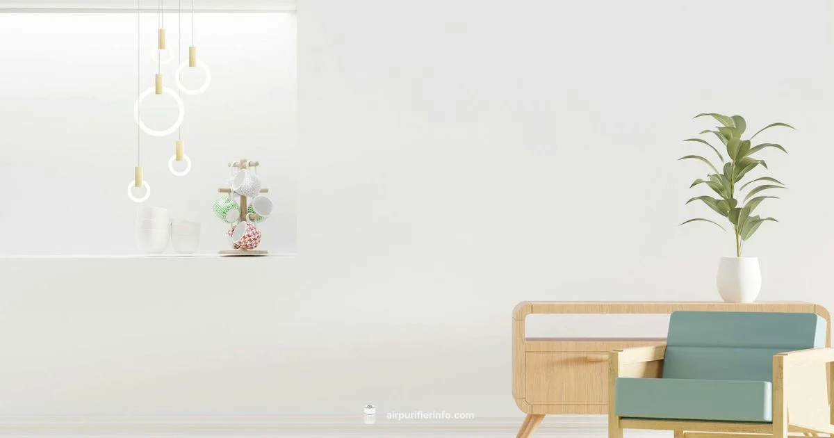 HEPA Levoit Guide - Air Purifier Info