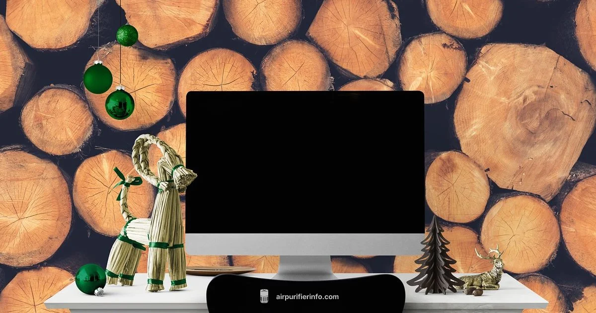 Purifier in Action Purifier in Action - Air Purifier Info