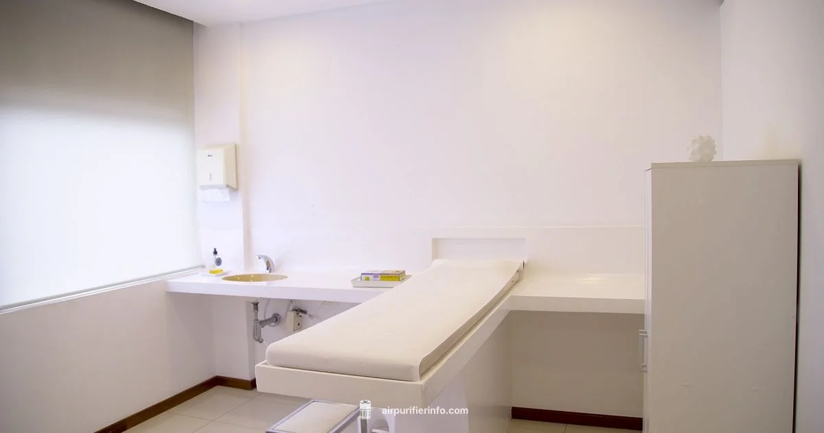 Dr J Purifier Review - Air Purifier Info