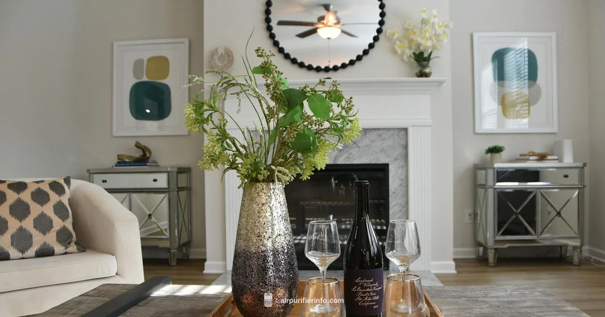 Therapure Purifier Guide Therapure Purifier Guide - Air Purifier Info