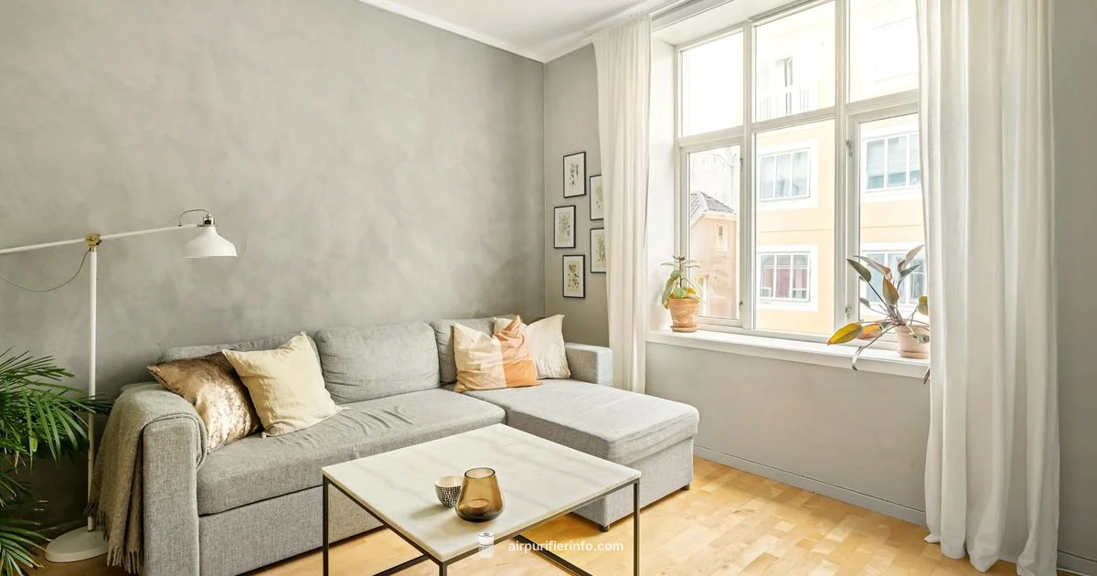 Quiet Clean Air - Air Purifier Info