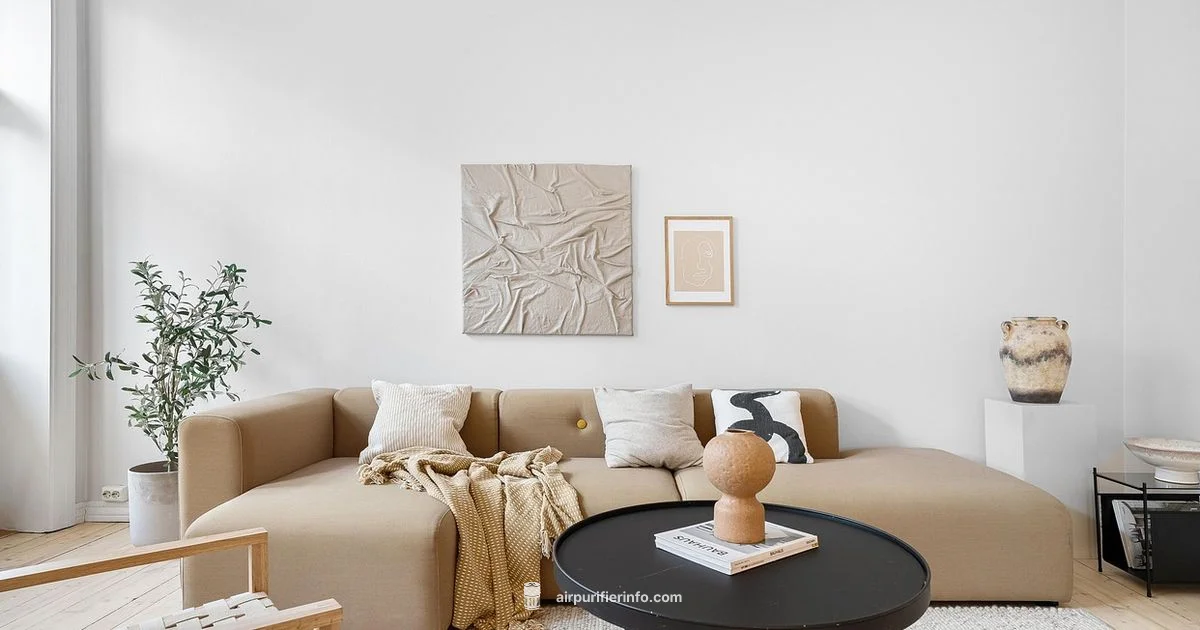 CADR Explained - Air Purifier Info