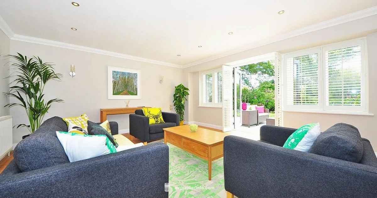 Timing Your Purifier - Air Purifier Info