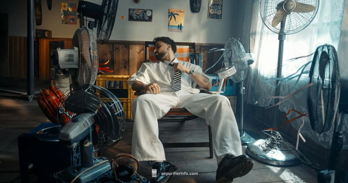 Air Purifier Fan Combo - Air Purifier Info