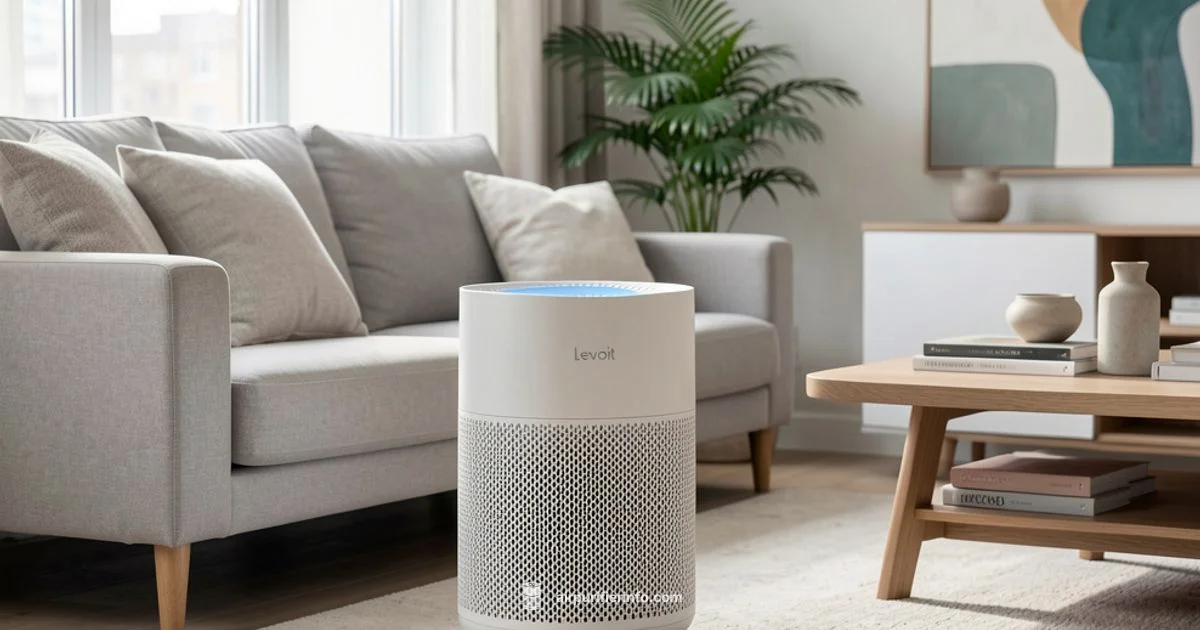 Levoit H13 Guide - Air Purifier Info