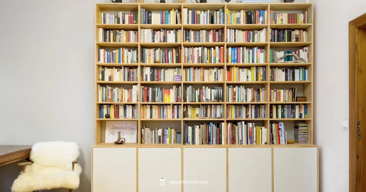 Cleaner Indoor Air - Air Purifier Info