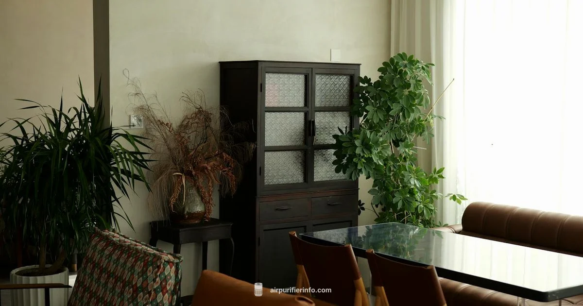 Mid-Size Purifier Review - Air Purifier Info