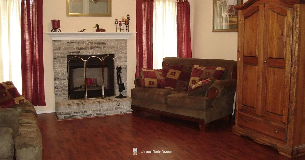 Clean Air at Home - Air Purifier Info