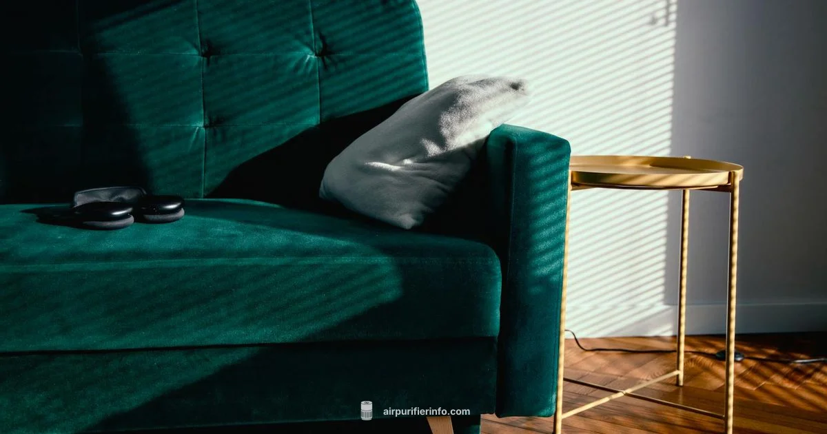 Air Purifier + Fan Combo - Air Purifier Info