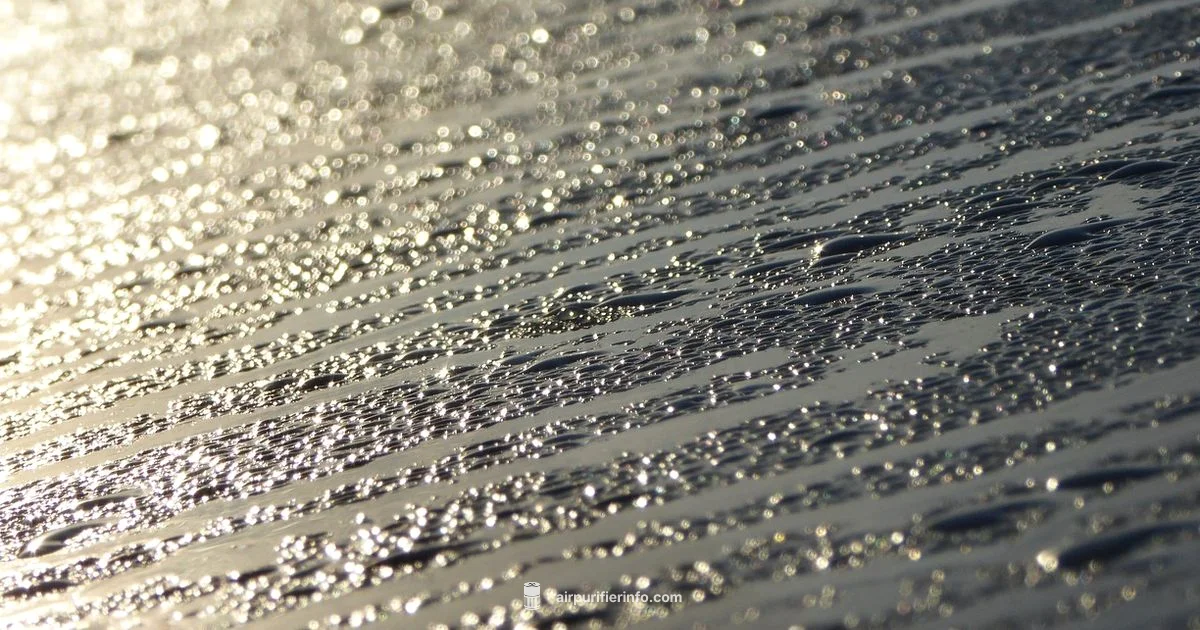 Humidity and Purifiers - Air Purifier Info