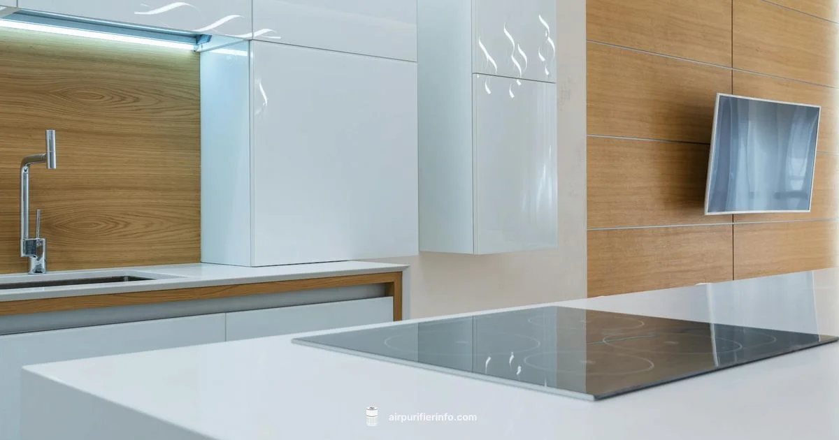 Filter Replacement - Air Purifier Info