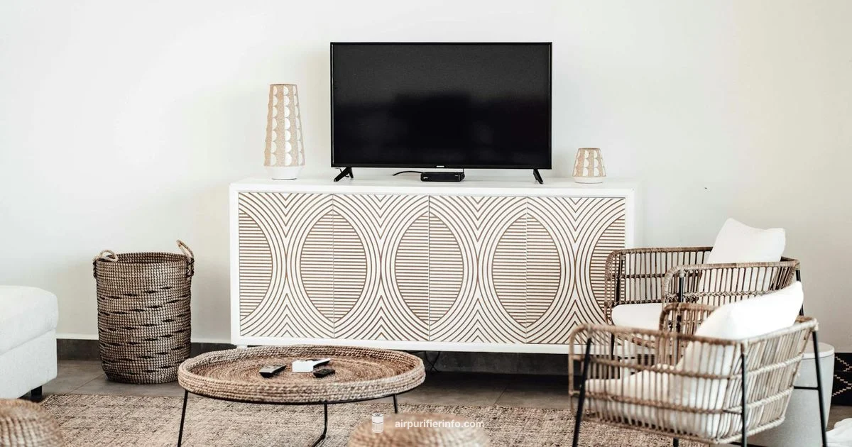 Charcoal Air Purifier - Air Purifier Info