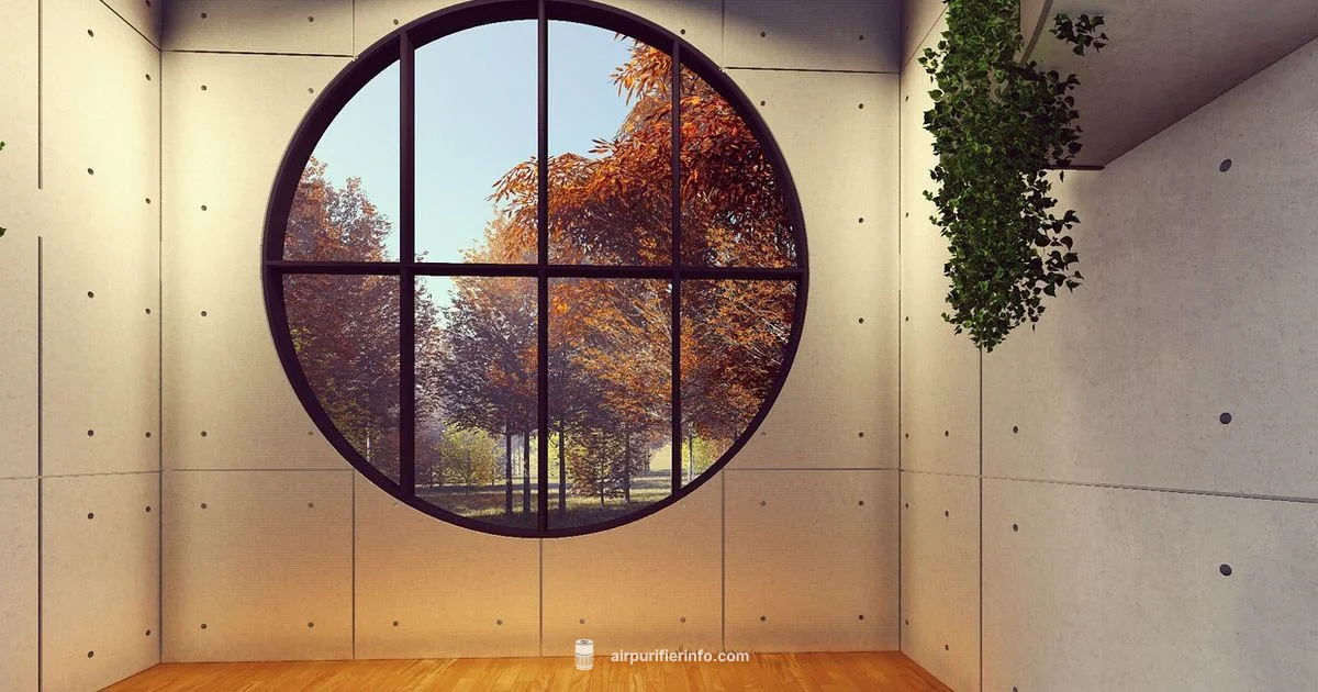 Air Purifier vs Ionizer - Air Purifier Info