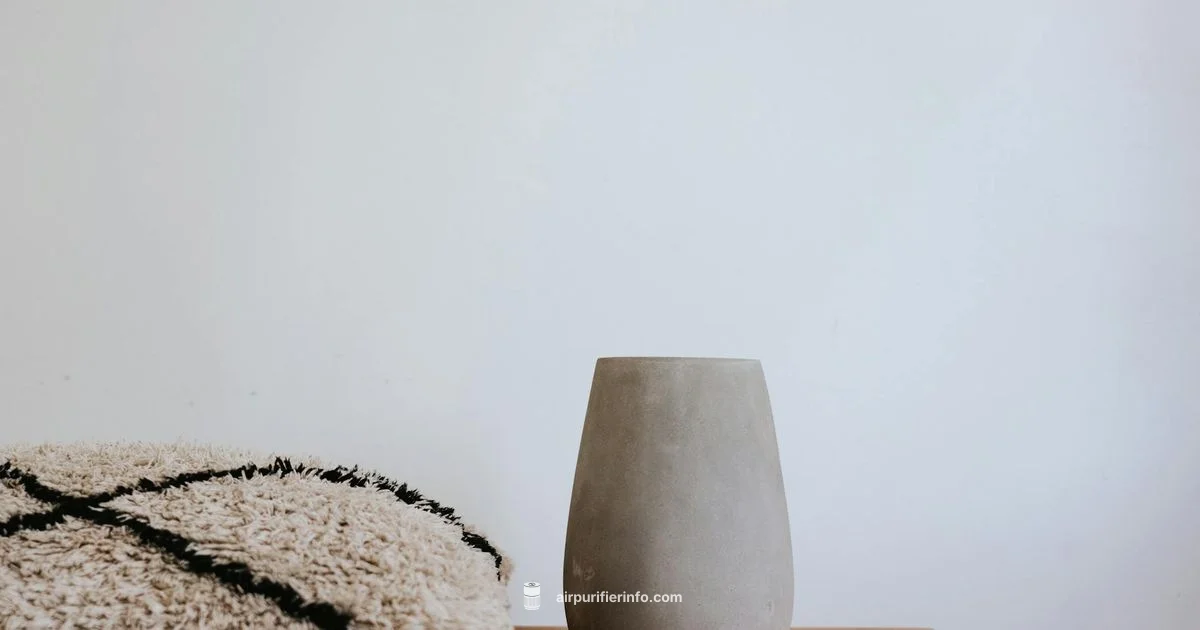 Ionic Breeze Quadra Review - Air Purifier Info