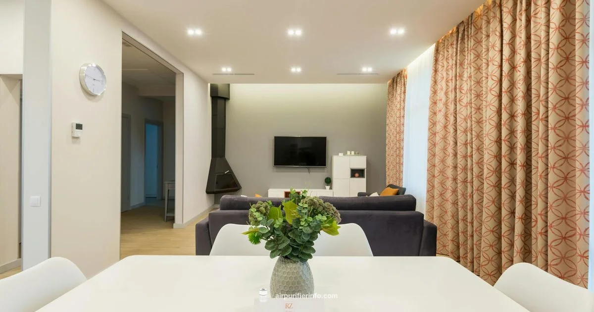 Air Ionizer Guide - Air Purifier Info