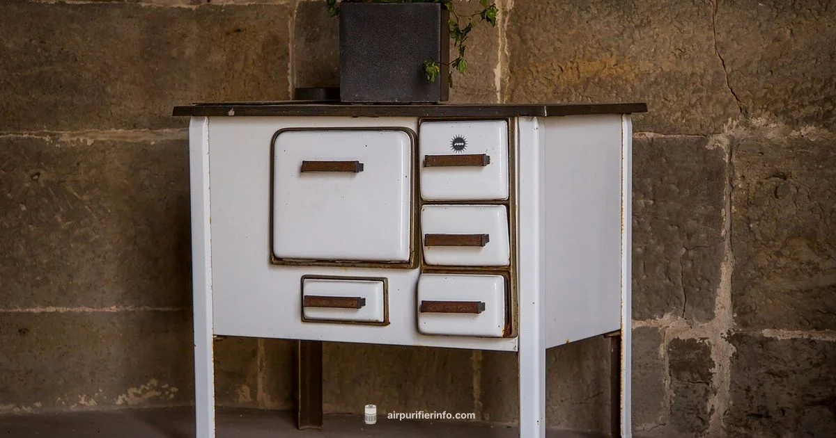 Odor-Free Kitchen - Air Purifier Info