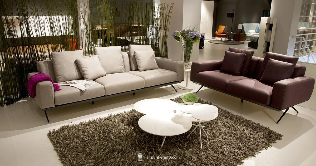 Air Purifier Alternatives - Air Purifier Info