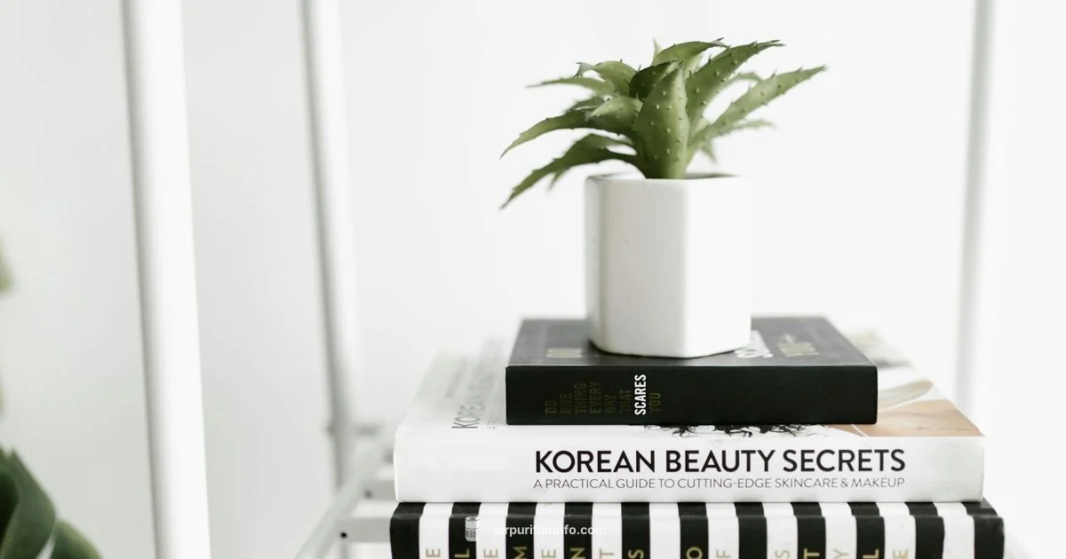 Ionic Purifier Guide - Air Purifier Info