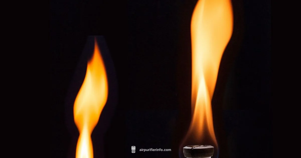 Smoke Odor Cleanup - Air Purifier Info