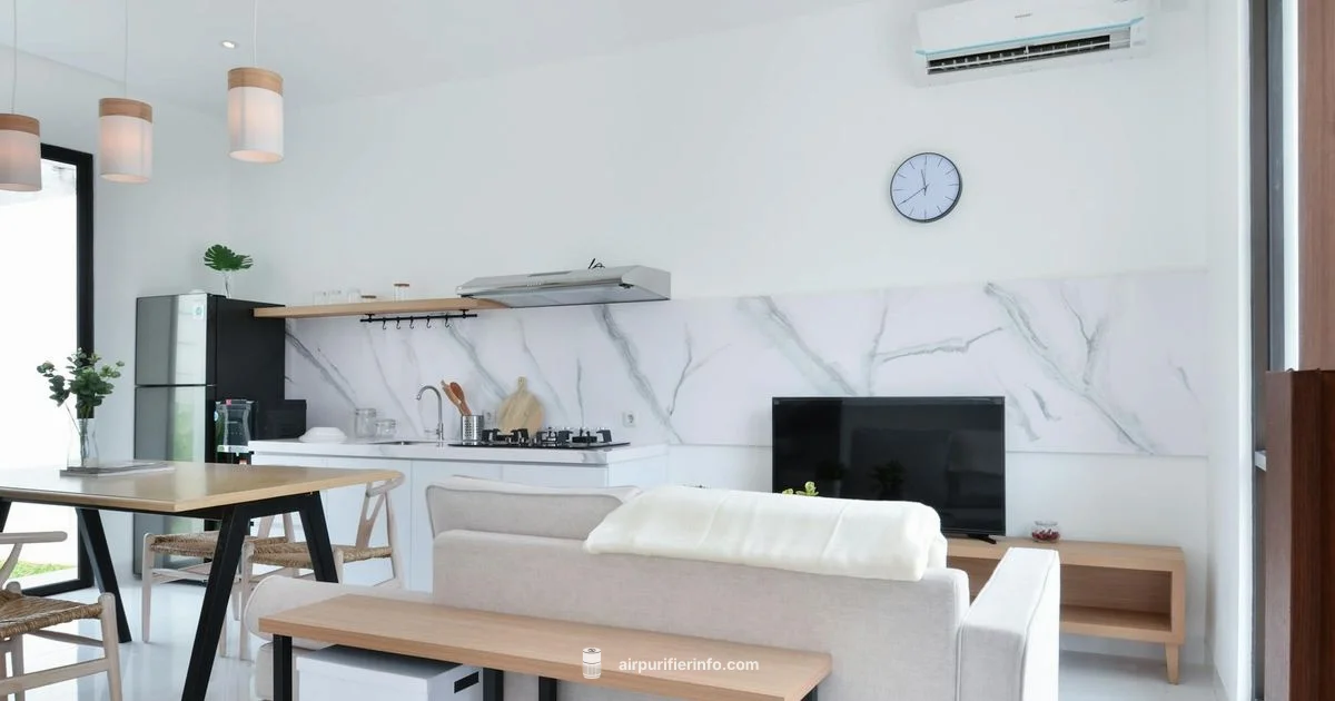 Plasma Purifier Guide - Air Purifier Info