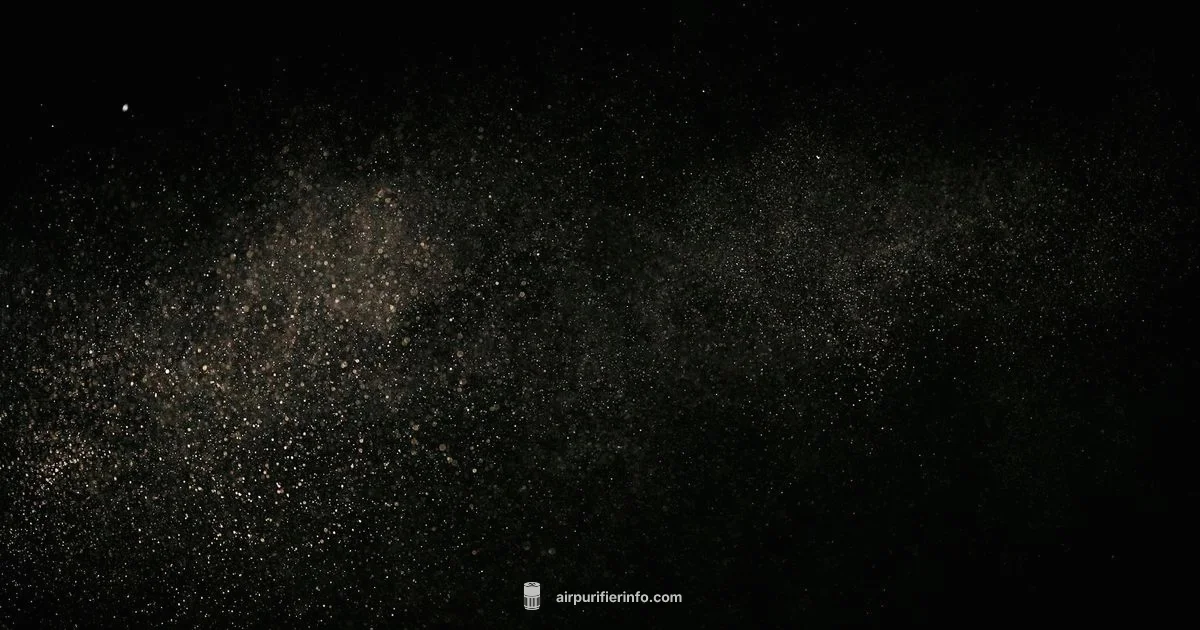 Foam in Purifiers - Air Purifier Info