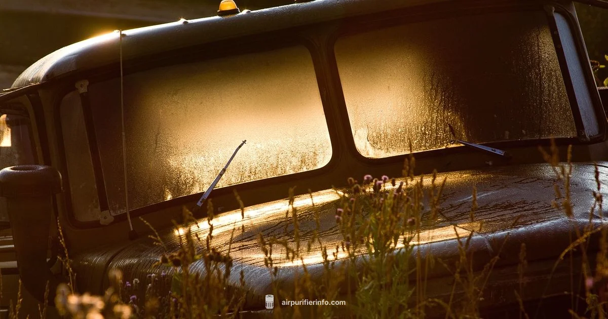 Wet Car Filter Risk - Air Purifier Info