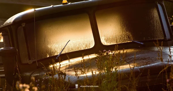 Wet Car Filter Risk - Air Purifier Info