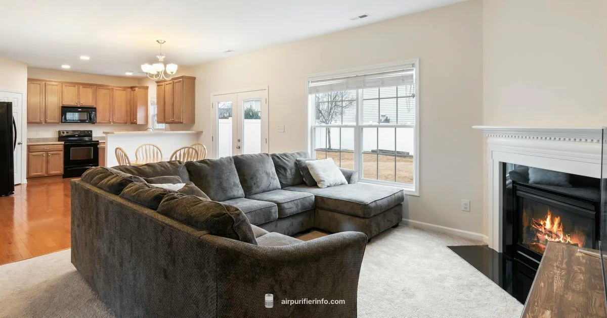 Smart Air Purifier Review - Air Purifier Info