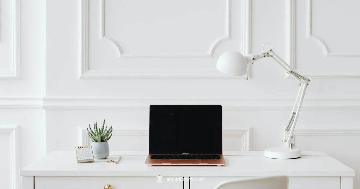 Levoit Mini Filter Levoit Mini Filter - Air Purifier Info