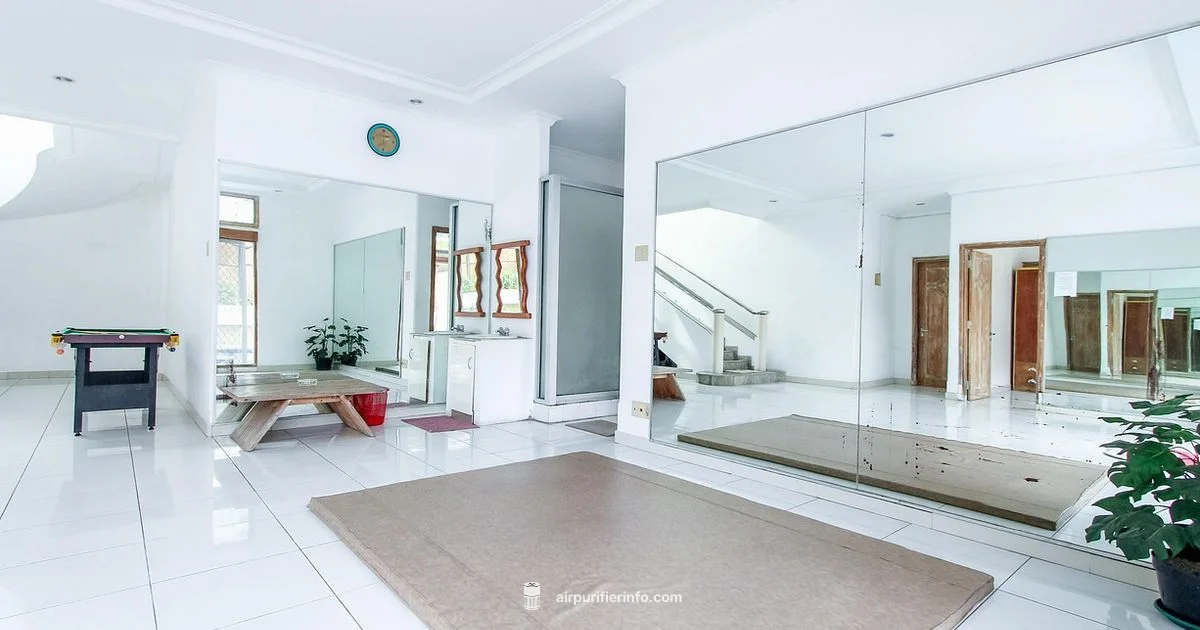 Clean Air, Easy Choice - Air Purifier Info