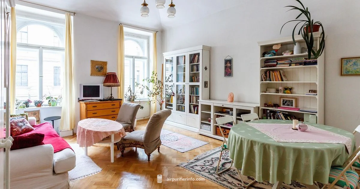 Winix C909 Overview - Air Purifier Info