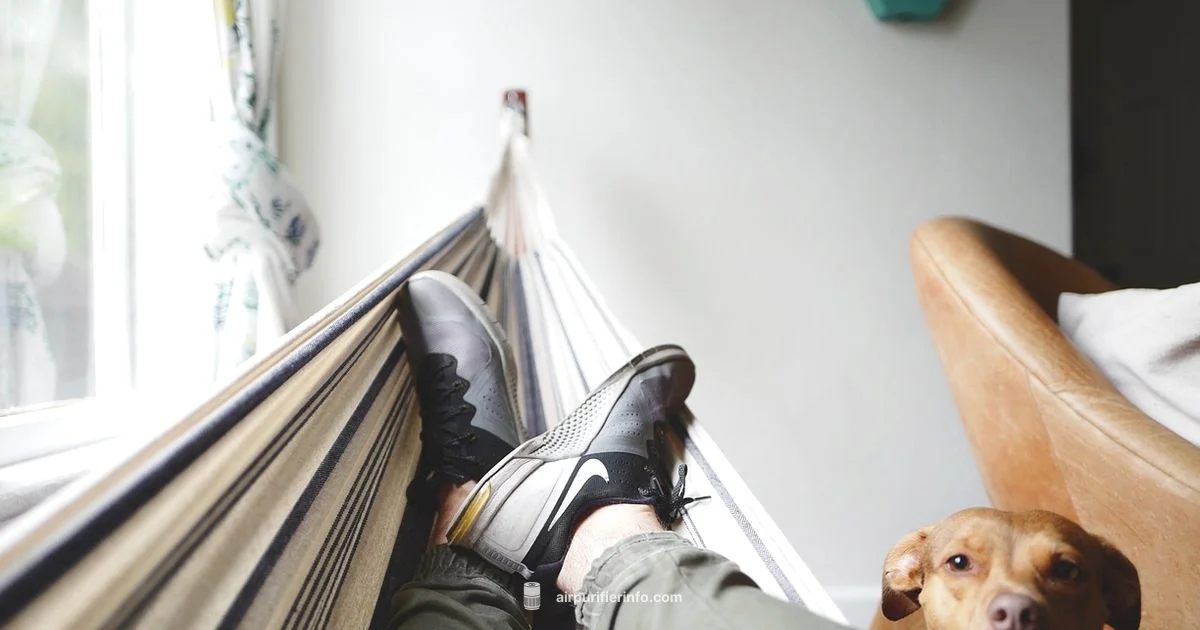 Pet-Friendly Purifier Picks - Air Purifier Info