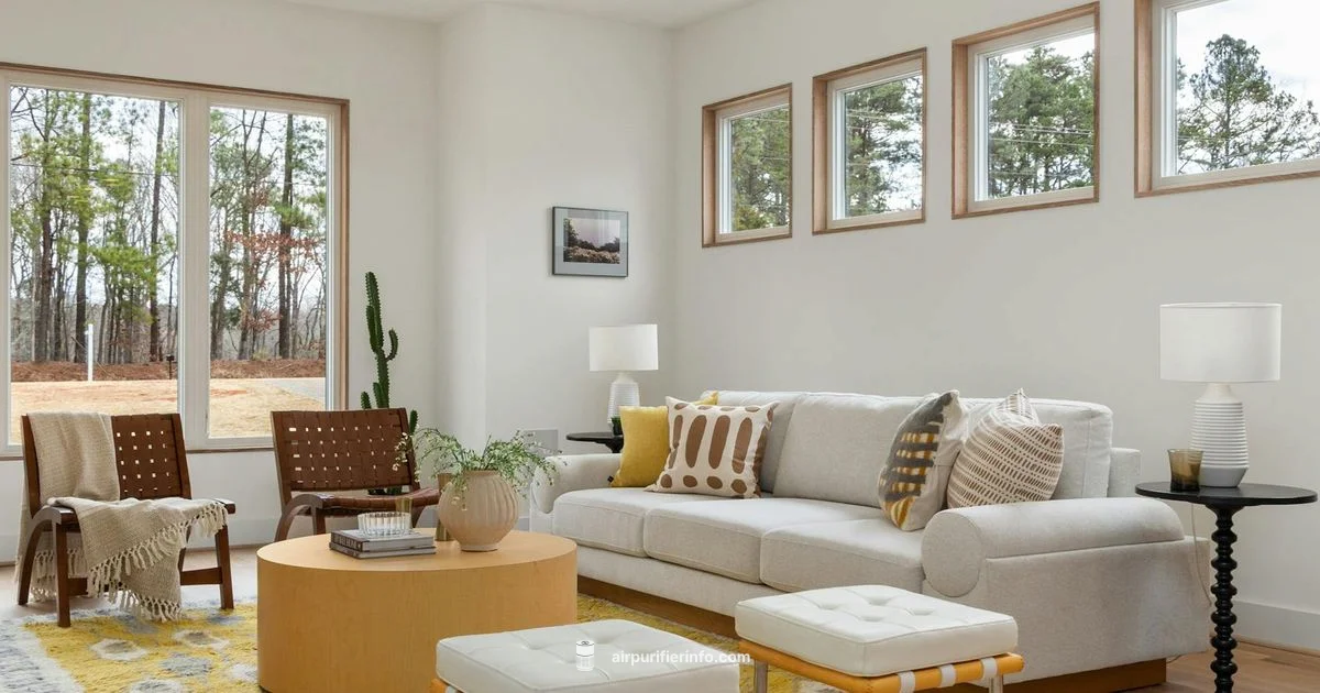 Breathe Easy at Home - Air Purifier Info