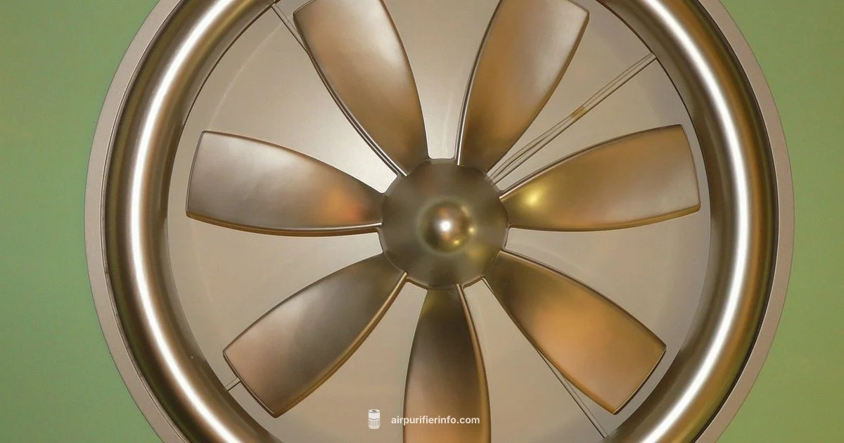 Dyson Air Purifier Fan - Air Purifier Info