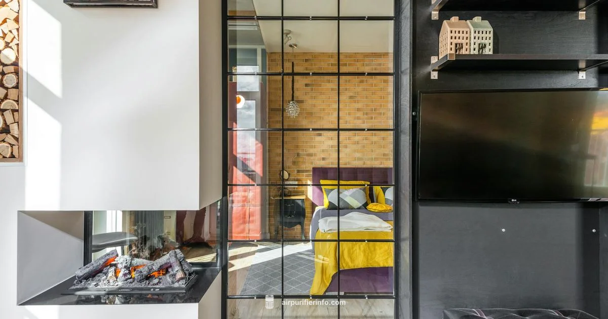 Dust Control Guide - Air Purifier Info