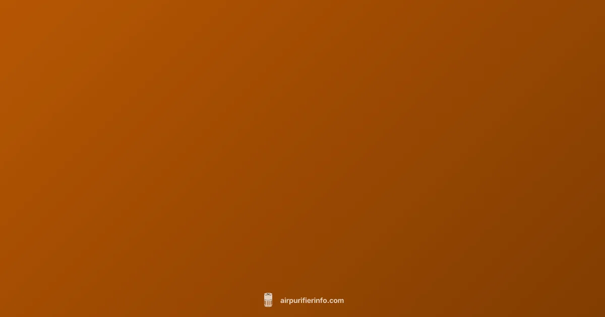 Air Purifier Humidifier Setup - Air Purifier Info (illustration)