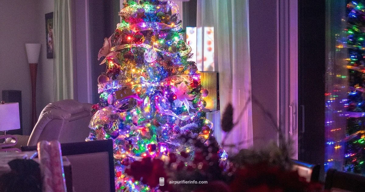 Rainbow Look - Air Purifier Info