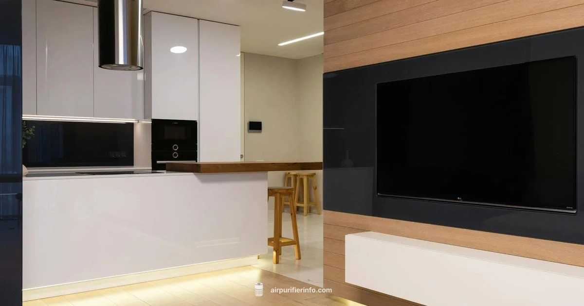 Clean, Safe Indoor Air - Air Purifier Info