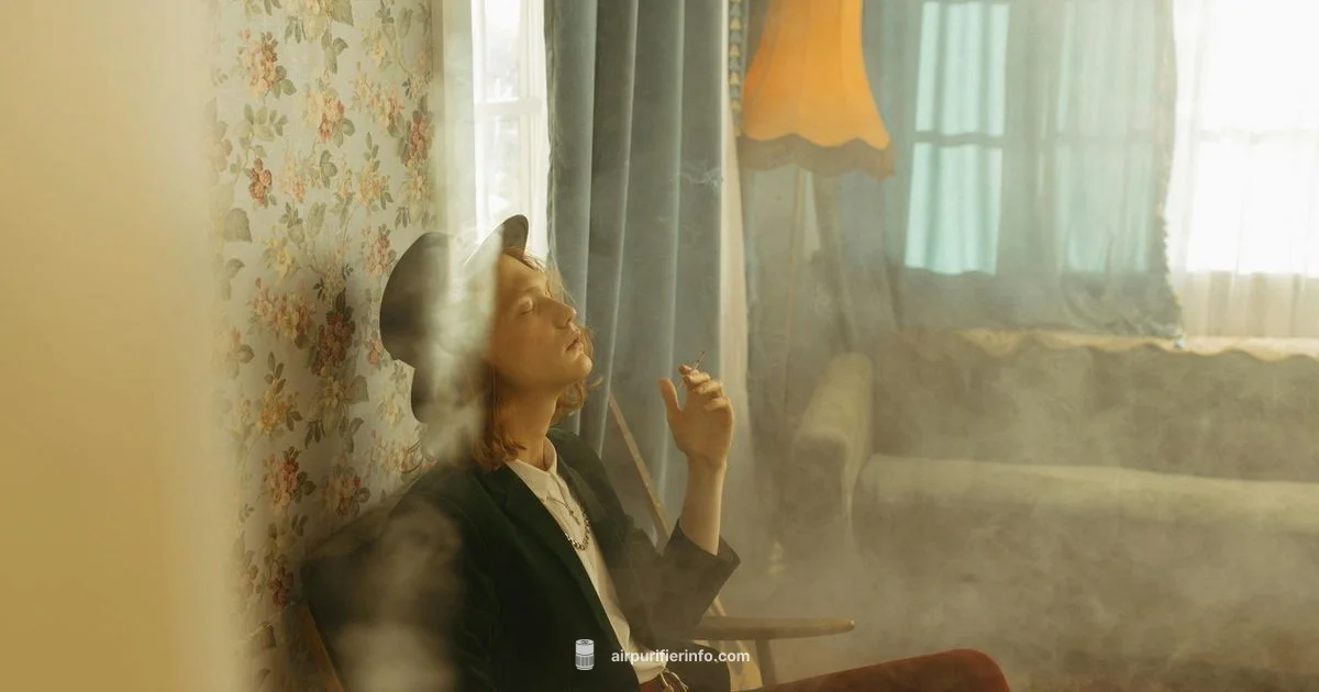 Portable Smoke Eater Guide - Air Purifier Info