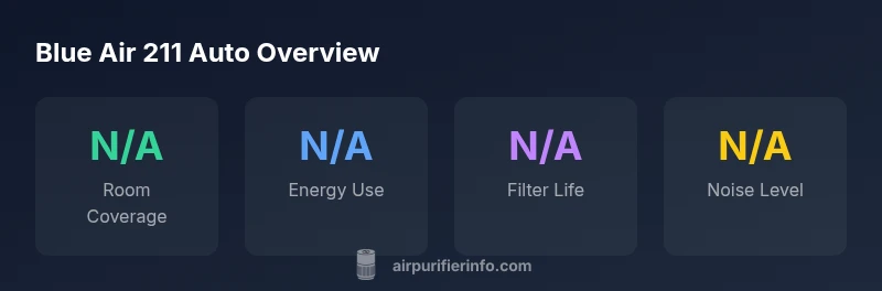 Infographic of Blue Air 211 Auto statistics