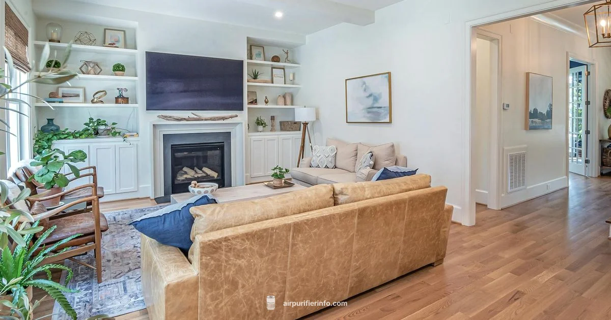 Washable Filter Picks - Air Purifier Info