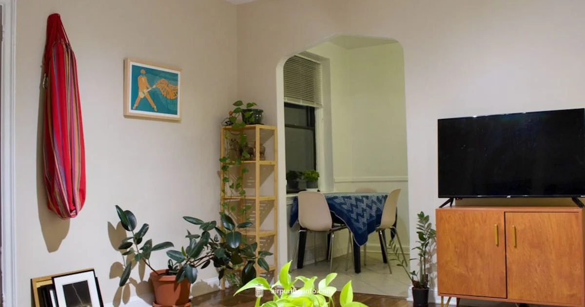 Test Your Air Purifier Test Your Air Purifier - Air Purifier Info