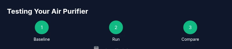Process infographic showing steps to test your air purifier